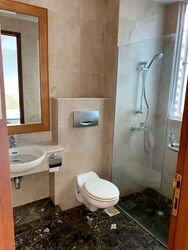 The Hermitage (D10), Apartment #560907111